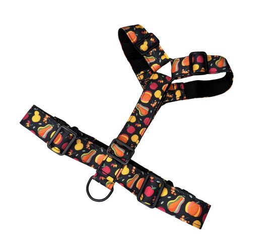 PUMPKIN SPICE HARNESS